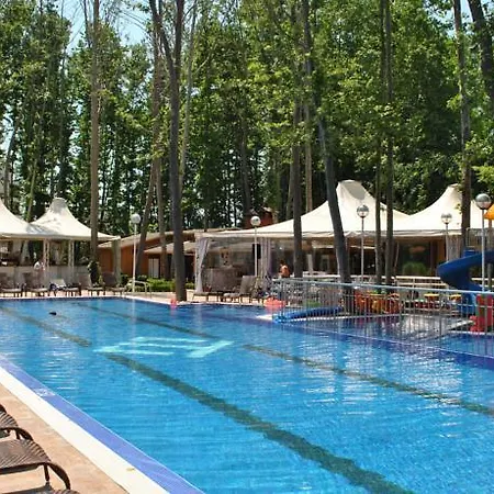 Privat In Sunny